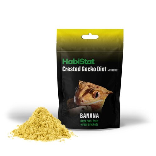 Banana & Cricket Gecko Diet 40g